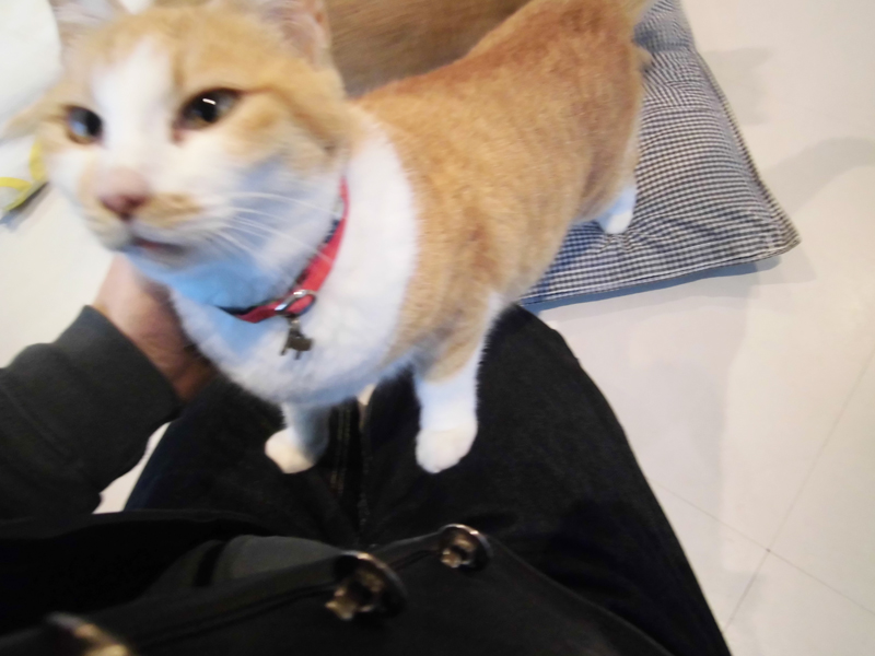 画像5