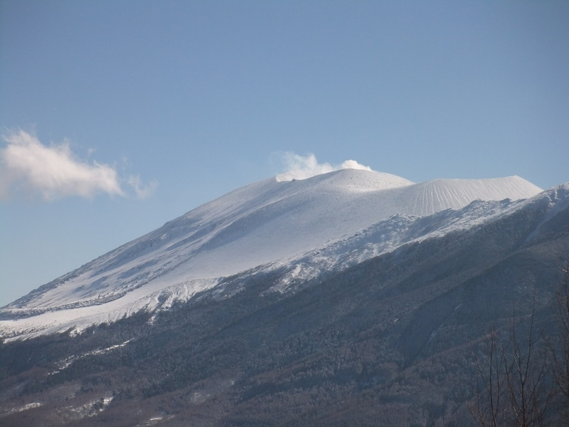 画像1