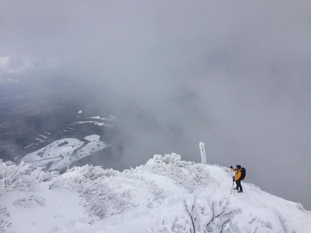 画像5