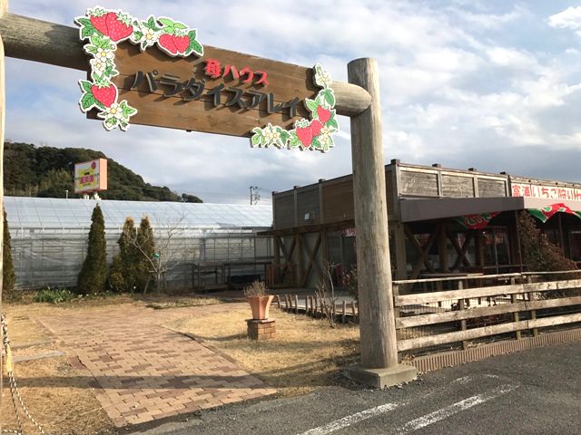 画像3
