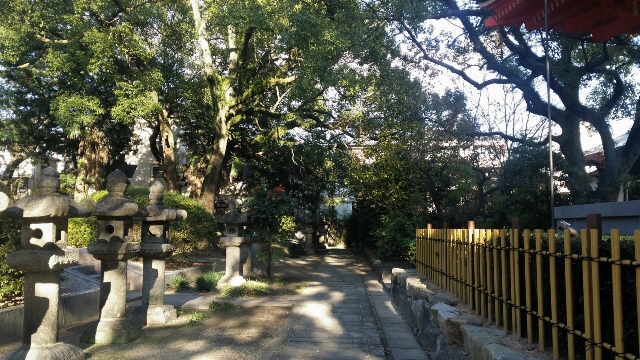 画像5