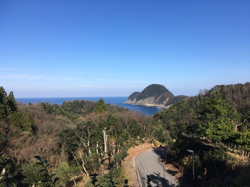 画像1