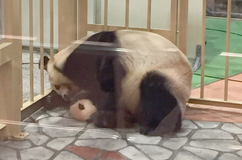 画像1