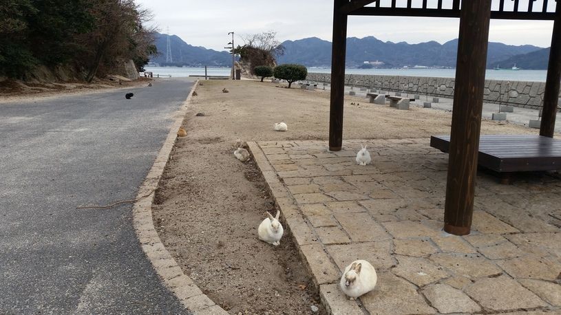 画像1