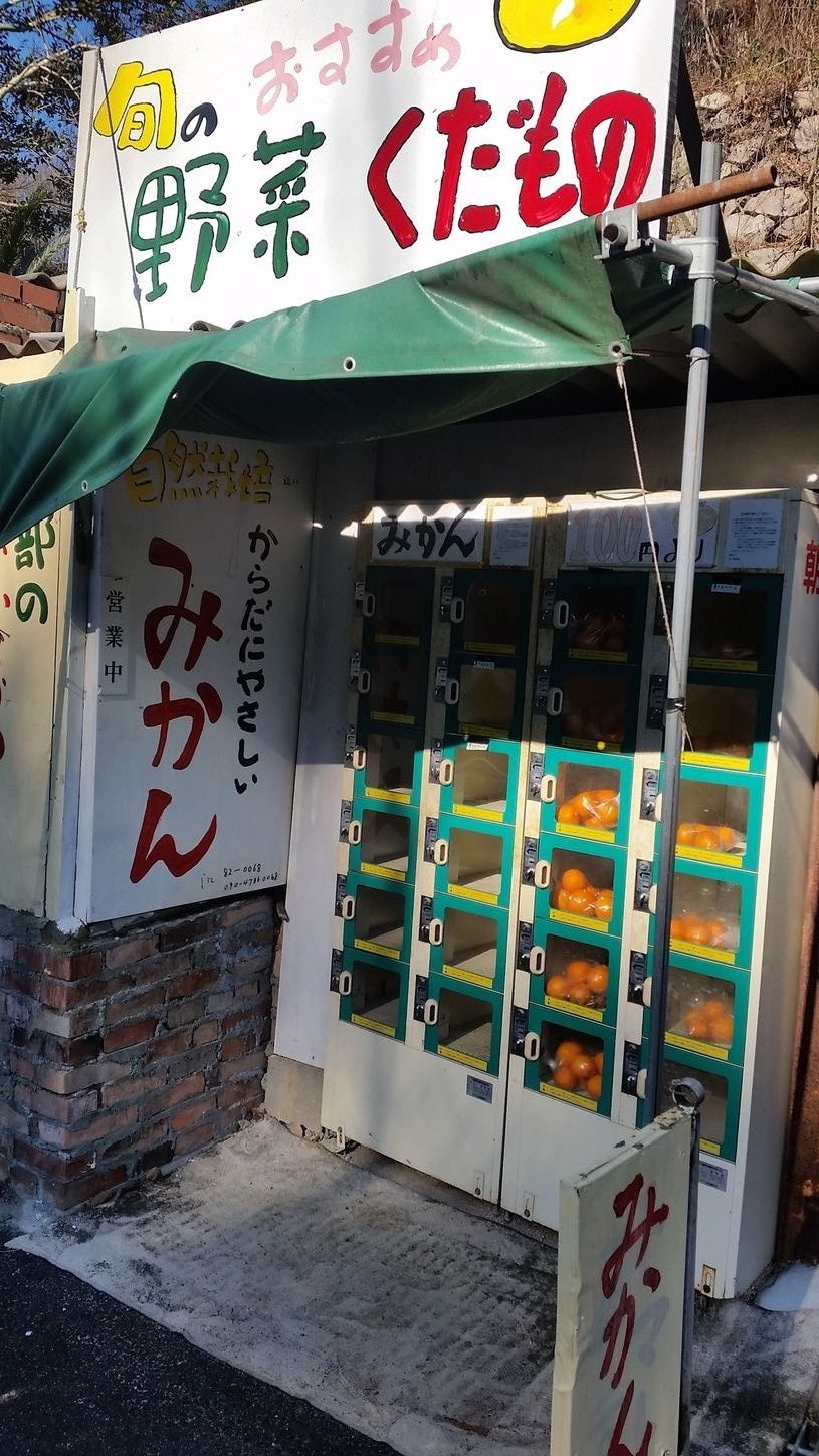 画像4