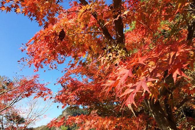 鳳来寺山