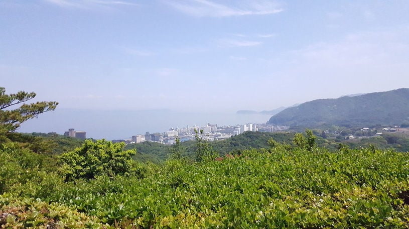 画像4