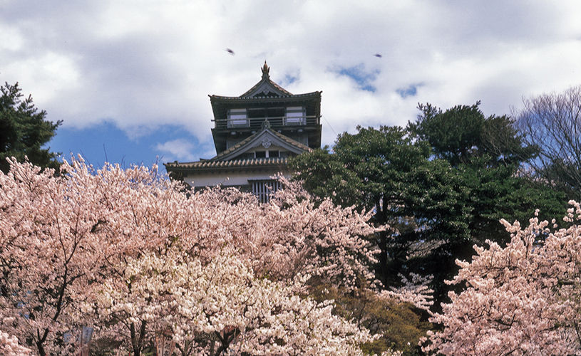 画像2