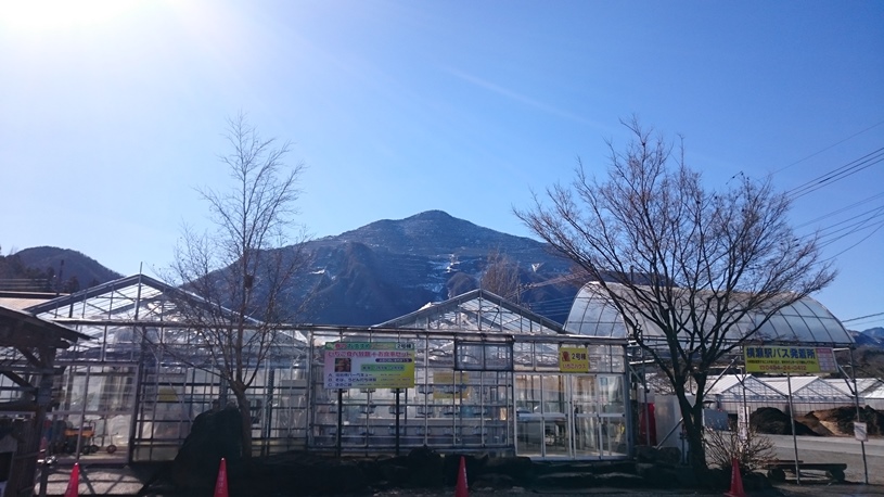 画像1