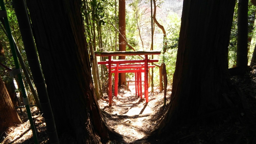 画像5