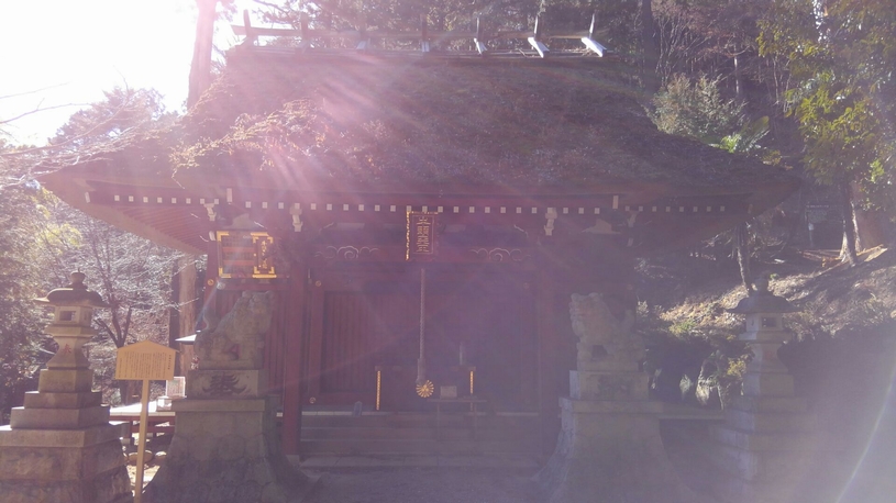 画像3