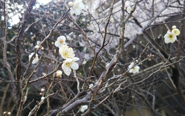画像3