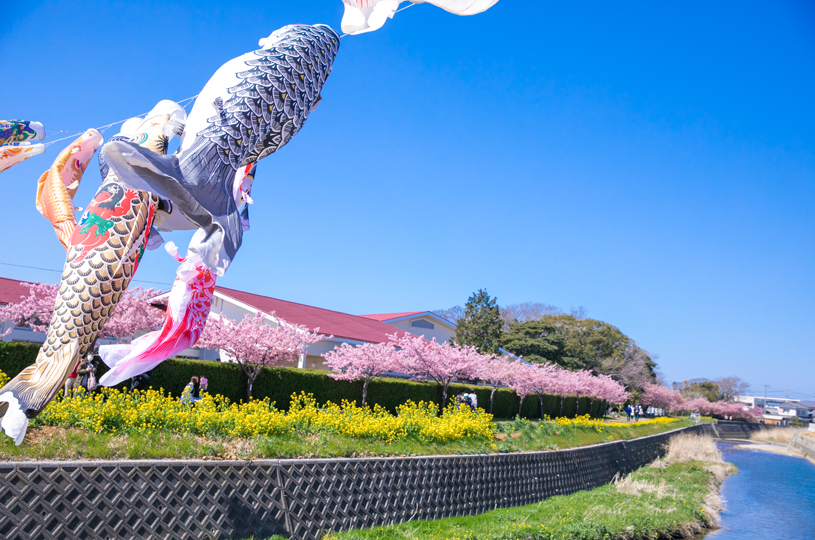 画像5