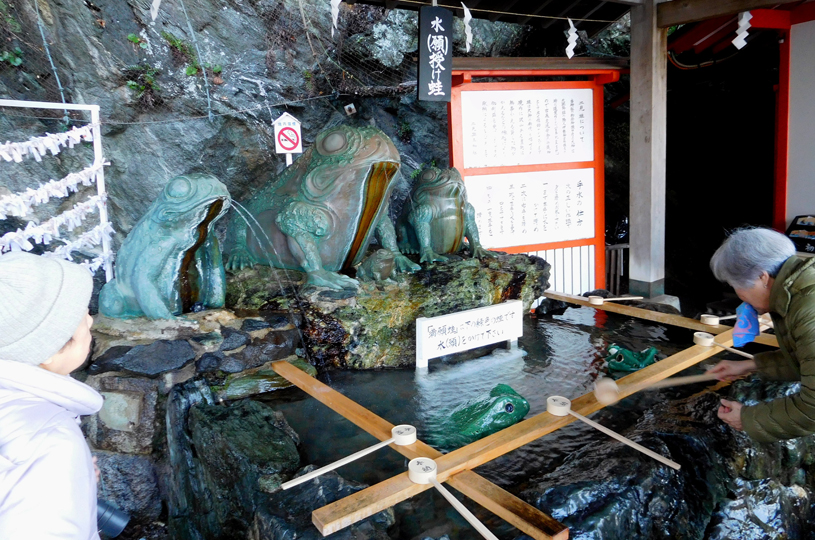 画像4
