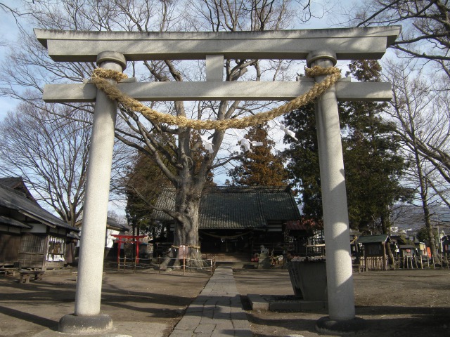 画像1