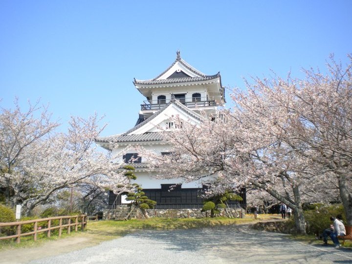 画像2