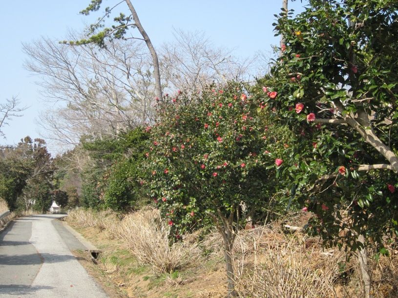 画像3