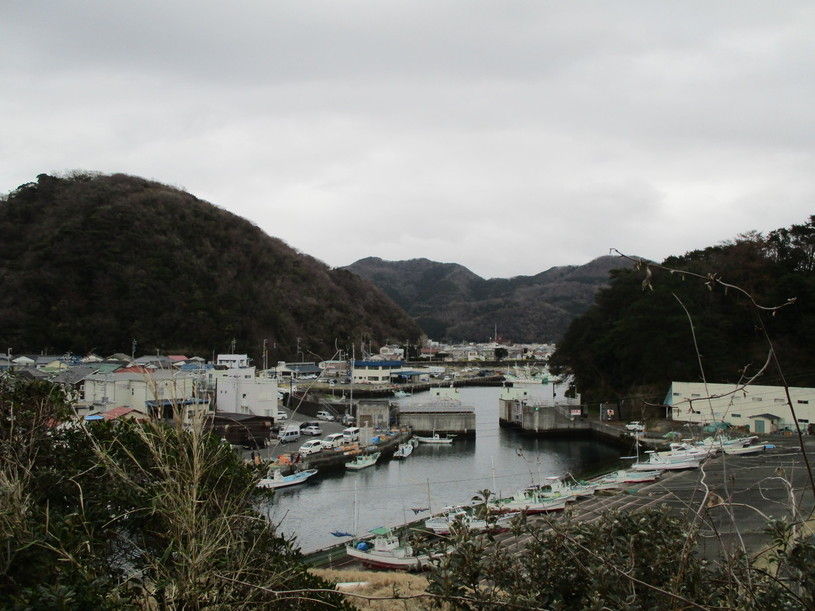 画像5