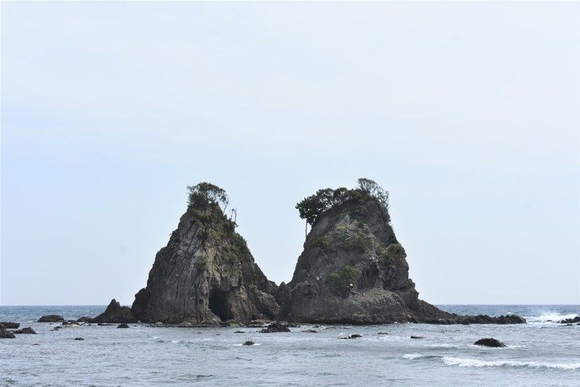 画像1