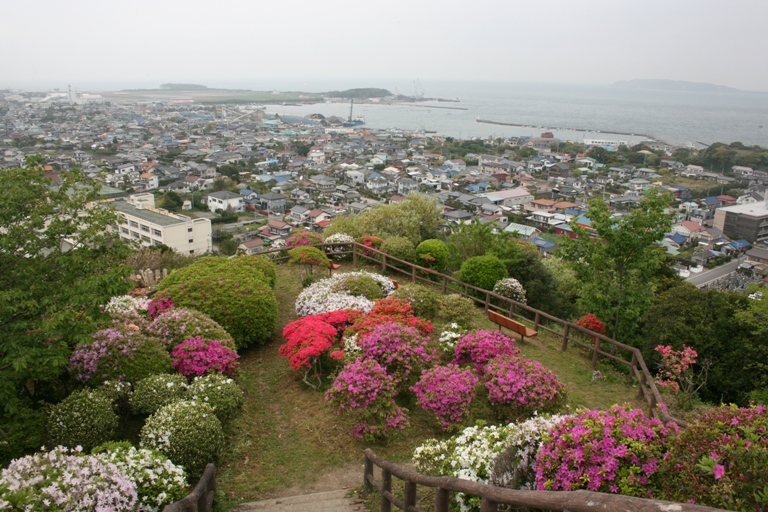 画像1
