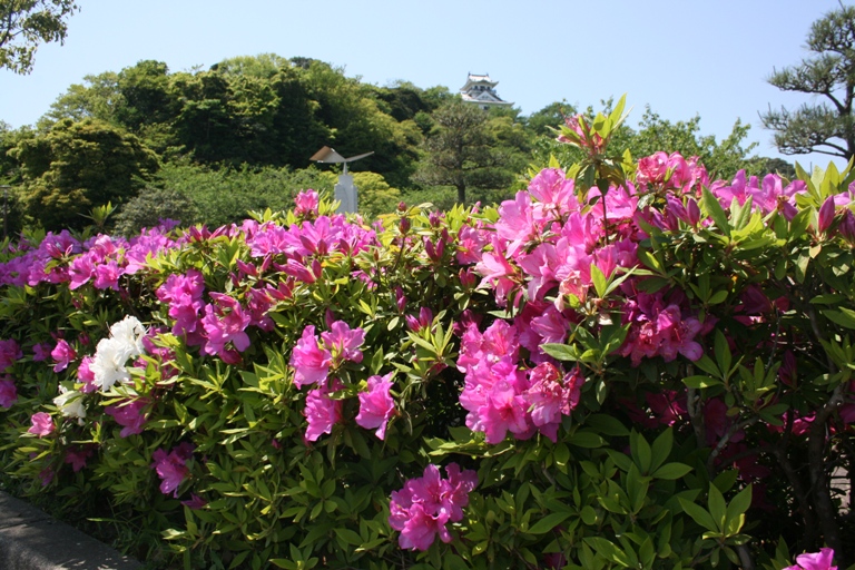 画像2