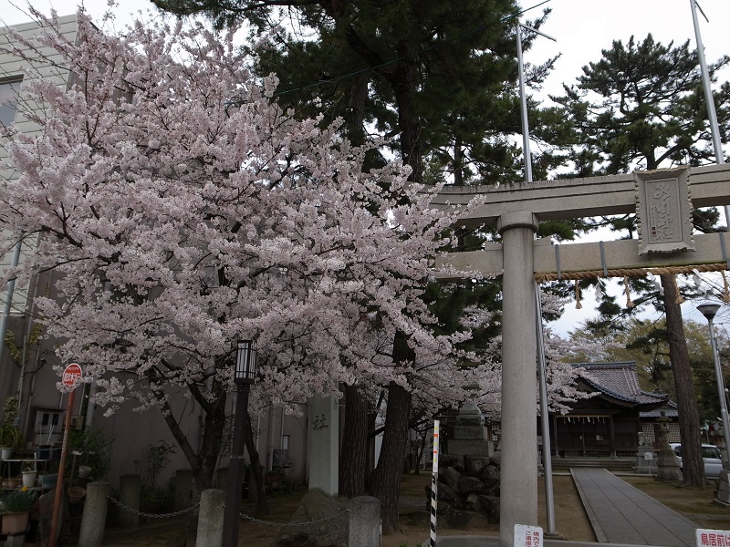 画像3