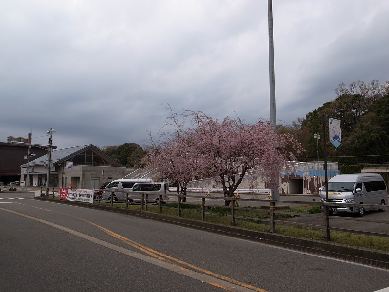 画像5