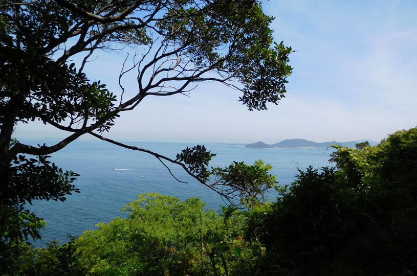 画像3