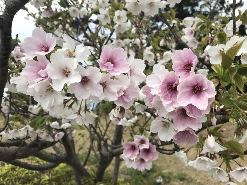 画像2