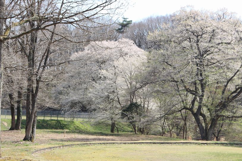 画像4