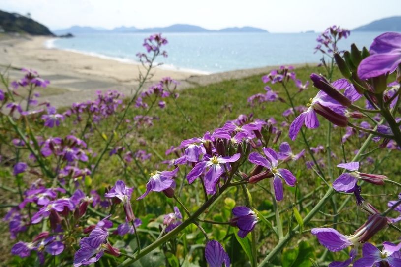 画像1