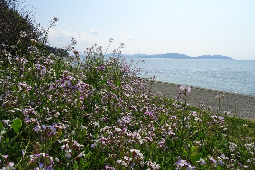 画像2
