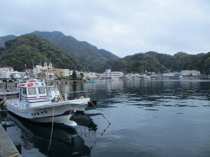 画像4