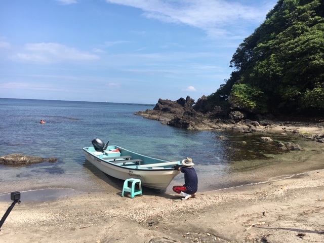 画像1