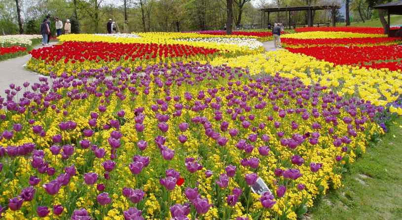 国営讃岐まんのう公園