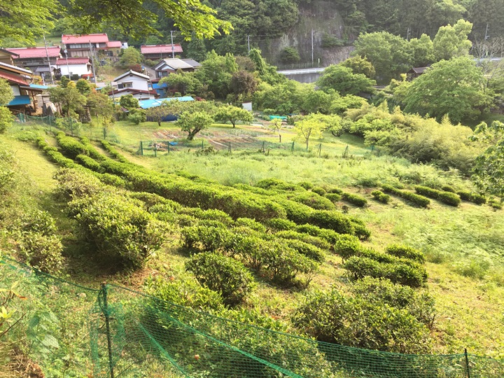 画像2