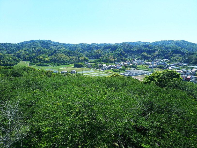 画像2