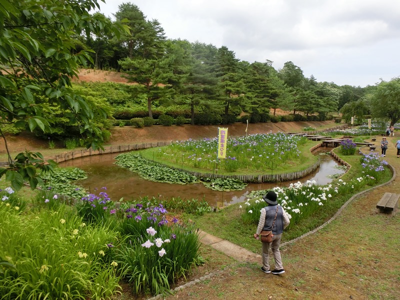 画像4