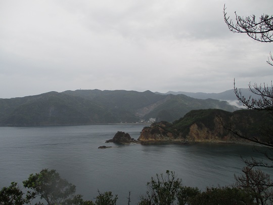 画像4