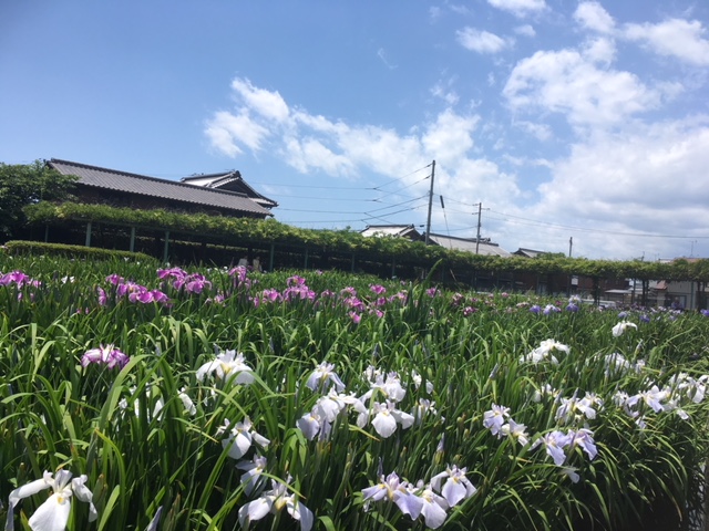 画像2