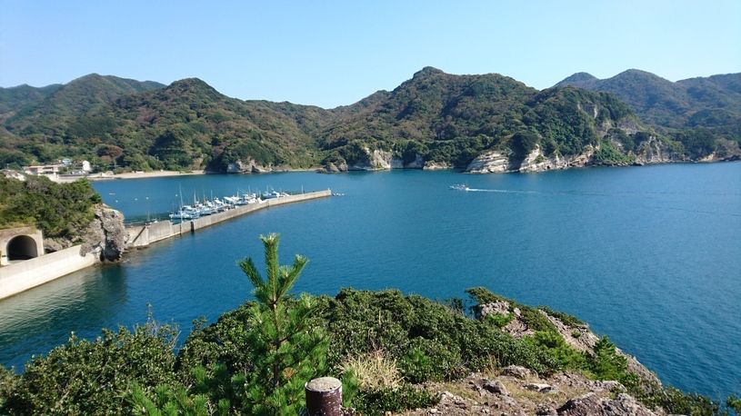画像1