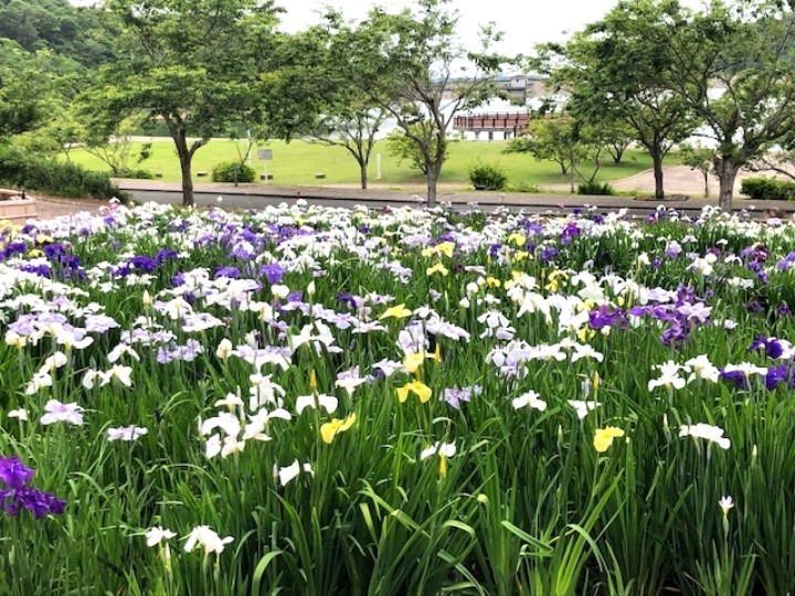 画像2