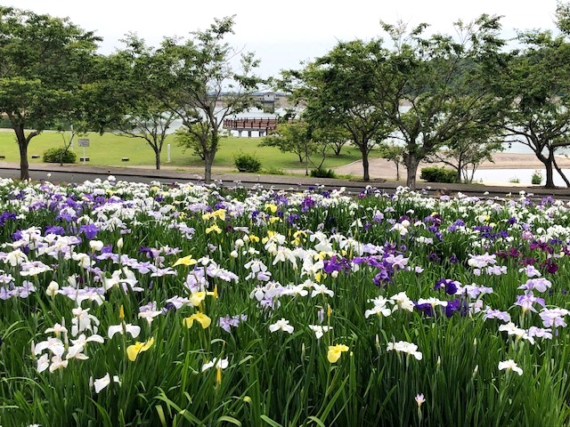 画像3