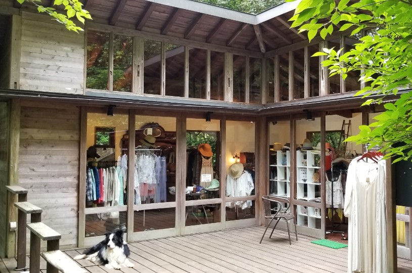 画像4