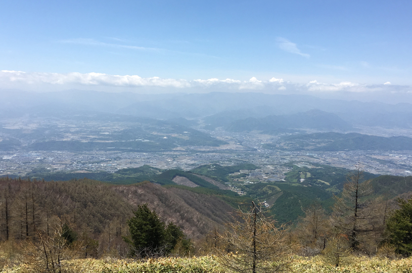 画像1