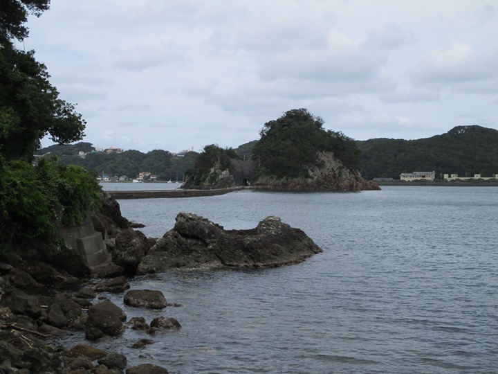 画像1