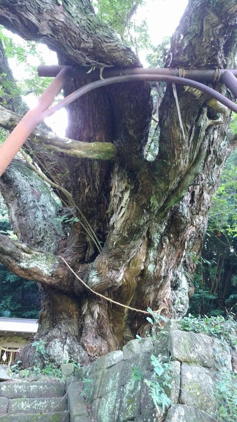画像1