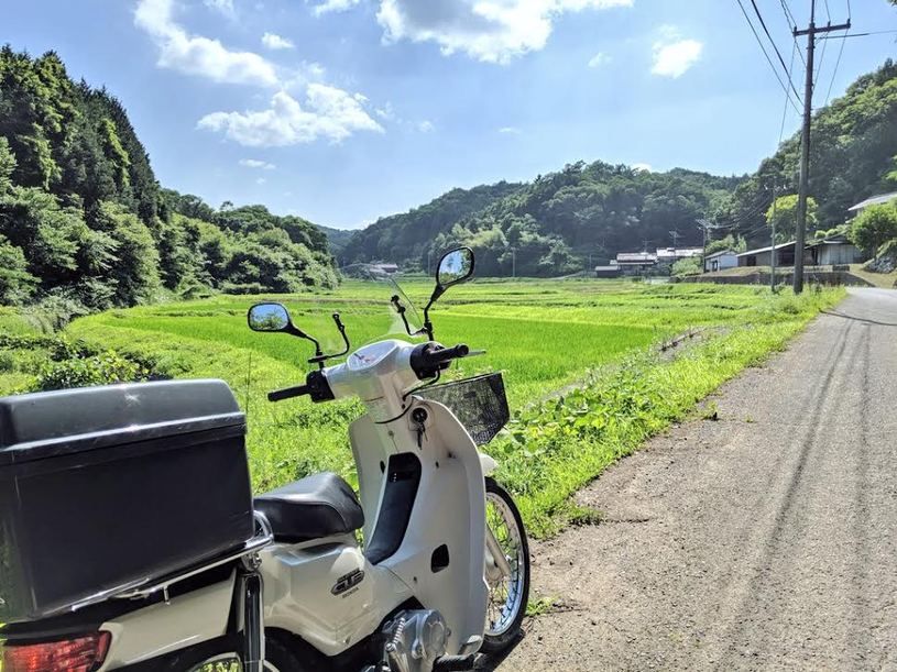 画像1
