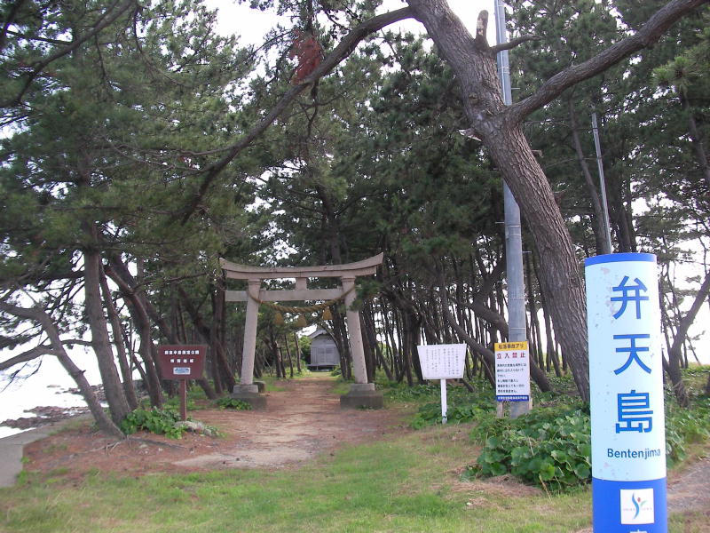 画像3
