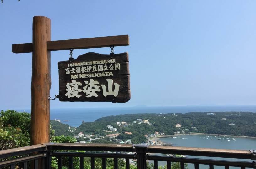 画像1